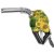Renewable Energy